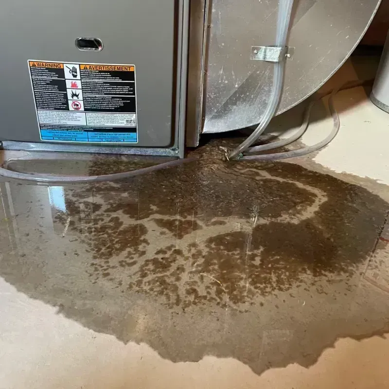 Appliance Leak Cleanup in Bridgeport, TX